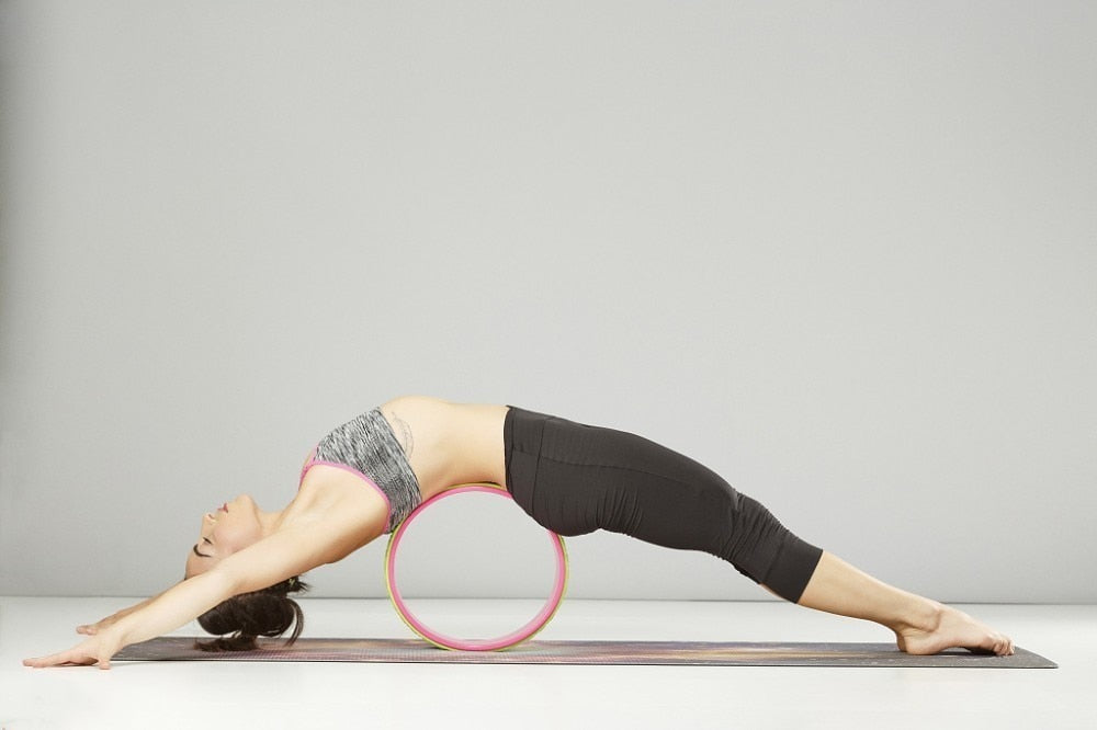 Fitness Training Wheel - FlexyBuy